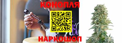 СК Конаково